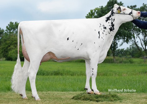 MAR Aranja VG-87