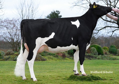 ZB MAR Ladyla VG-86