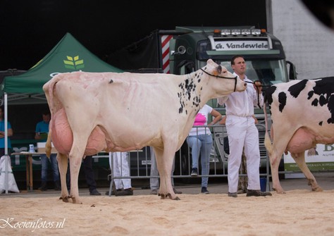 Marieclaire VH Zomerbloemhof EX-90