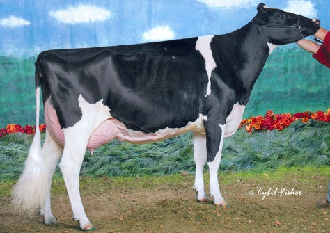 MD Delight Durham Atlee (2) EX-92