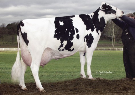 MD-Maple-Dell Durham Cecel EX-92