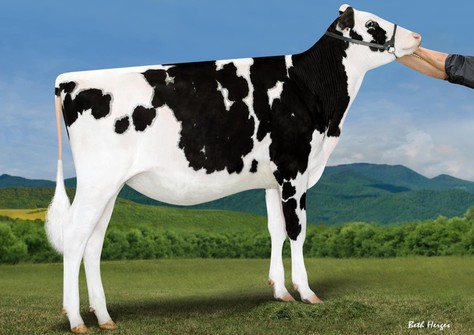 Miss Lambda Footloose-ET VG-85