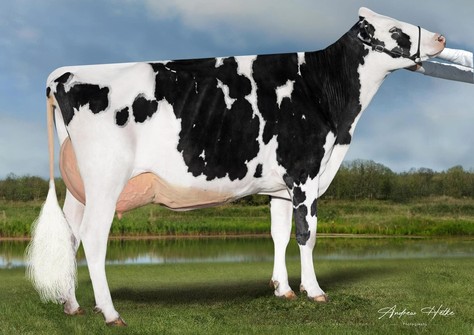 Miss Lambda Footloose-ET VG-87
