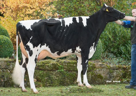 Missy P RDC VG-87