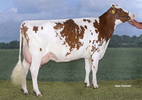 Molenkamp Grietje 48 VG-86