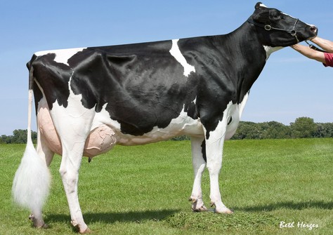 Mor-Yet Goldwyn 682 EX-94