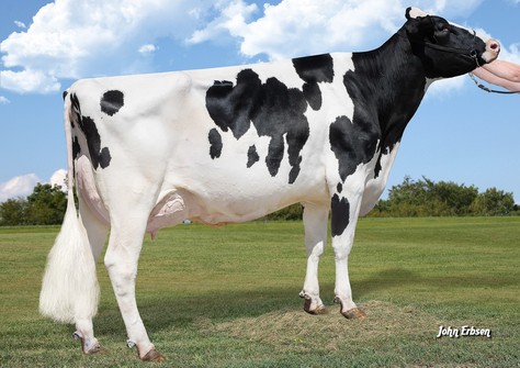 Morningview Racer 4405-ET RDC VG-88