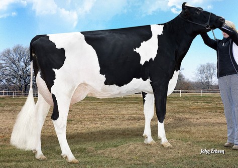 Morningview Super Roxy RDC EX-90