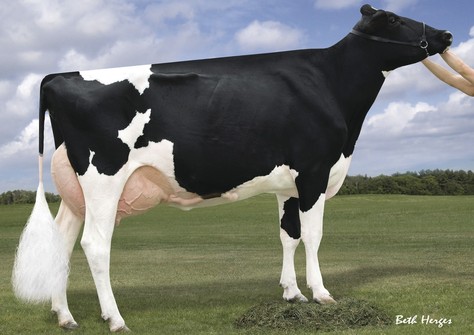 MS Atlees Goldwyn Ariel EX-92