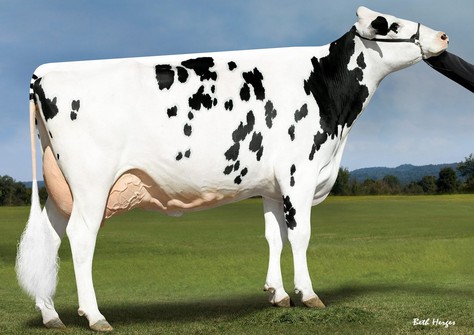 Ms D Angel Darnisha RC EX-90