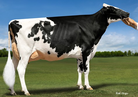 Ms Gold Barbara Brisk EX-93