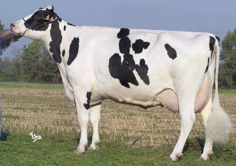 New-Farm Aaron Quantita EX-91