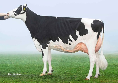 New Moore Fitz Esmeralda 103 EX-92