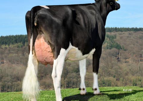 NH HS Marilyn Monroe VG-86