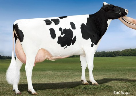 Nordic-Ridge Beacon Sizzle VG-88