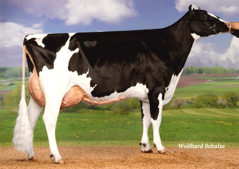 DHG Norwegen VG-86