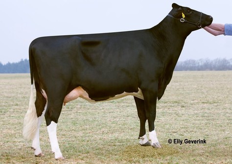 Nørgård XY-Ting Super Crunchy VG-89