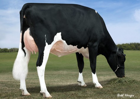 Coyne-McGarr Obsr Barbie VG-85