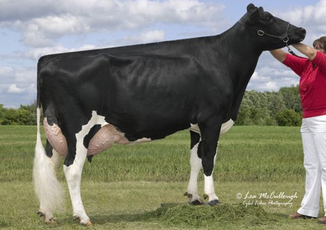 OLMAR LYNCH BABY BUMBLE-ET EX-93