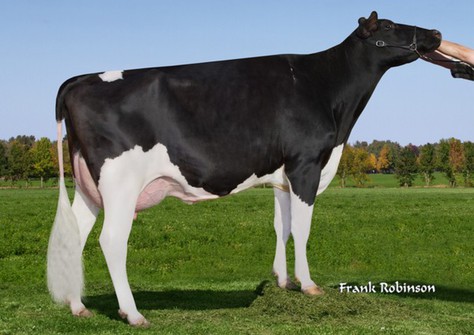 OLMAR PLNET BABY BUNTING-ET VG-86