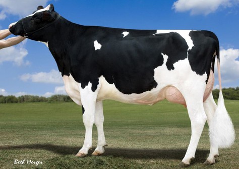 Opsal Planet Fame VG-86