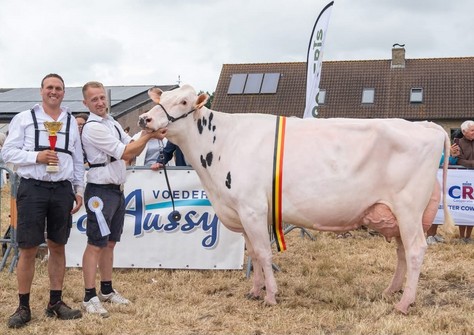 Panzul vh Zomerbloemhof VG-87