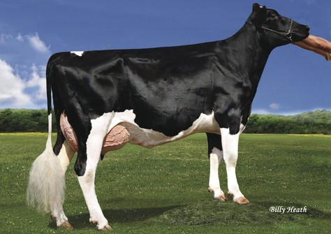 Pen-Col Grafetti Bell VG-87