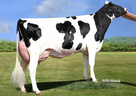 Pen-Col Legacy Best EX-90