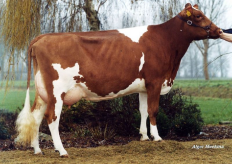 Huyben Pietje 514 VG-87