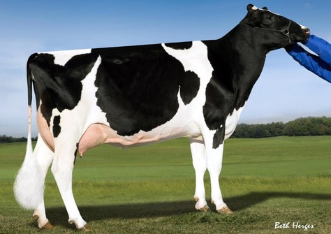 Pine-Tree 2149Robst 4846 VG-86