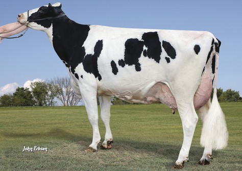 Plain-Knoll Lylas 1359-ET VG-85