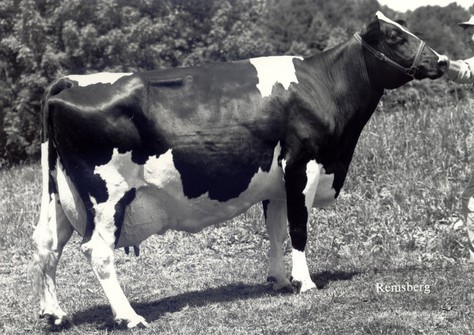 Plushanski Chief Faith EX-94