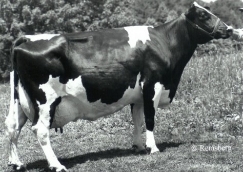 Plushanski Chief Faith EX-94