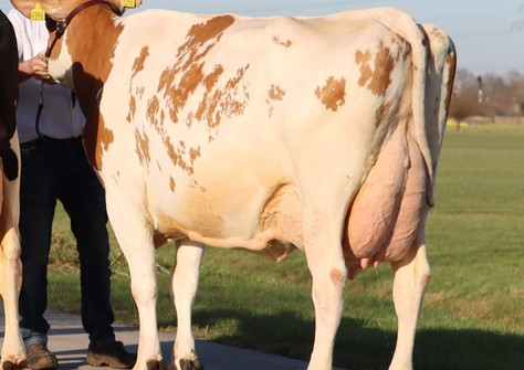 Poppe Fienchen 1270 VG-86