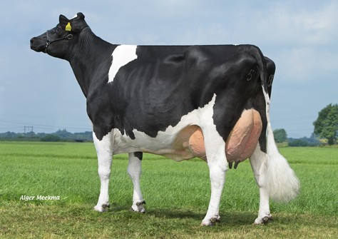 Poppe Fienchen 580 RDC VG-88