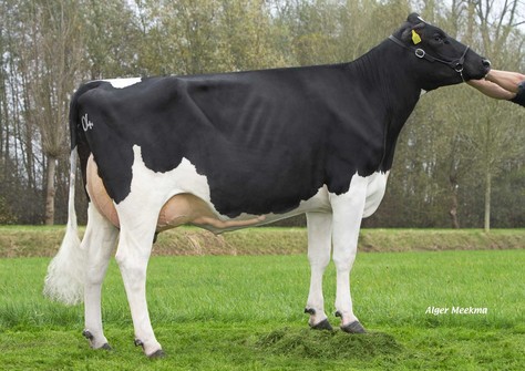 Poppe Fienchen 804 VG-87