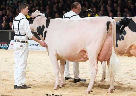 PR Darla EX-90