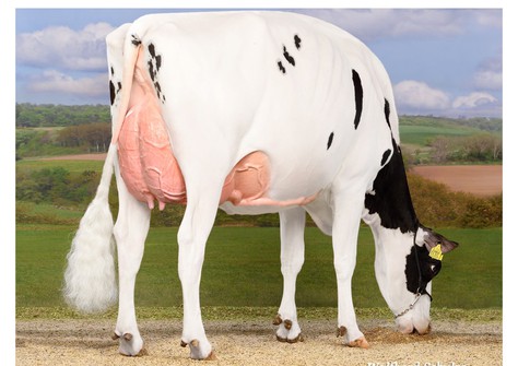 PR Darlina EX-90