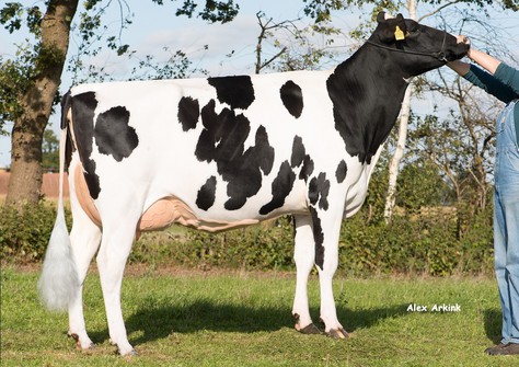 Prinzessin 50 VG-86