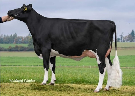 Progenesis Brainwave VG-87