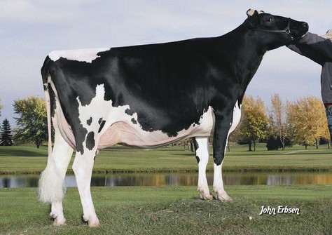 Ralma Christmas Cookie VG-89