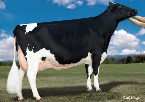 Ralma Goldwyn Carmel EX-92