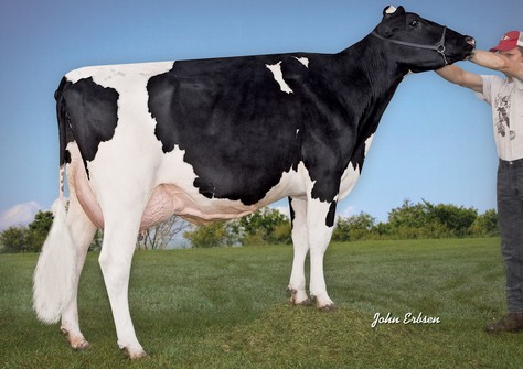 Ralma Goldwyn Clarinet EX-91