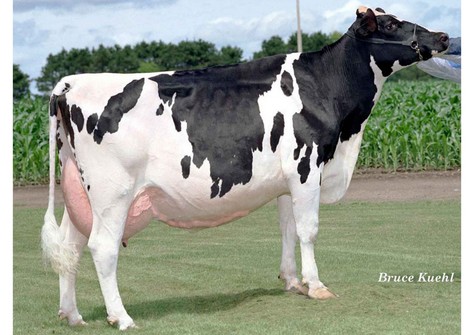 Ralma Juror Faith EX-91