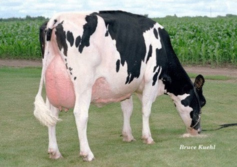 Ralma Juror Faith EX-91