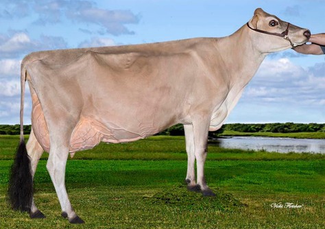 Rapid Bay Maid of Honour-P EX-91