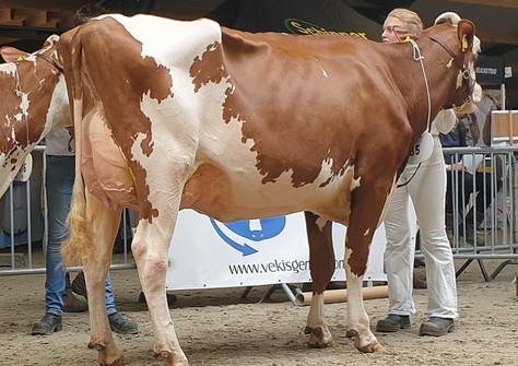 R&B AM Maryam Red VG-88