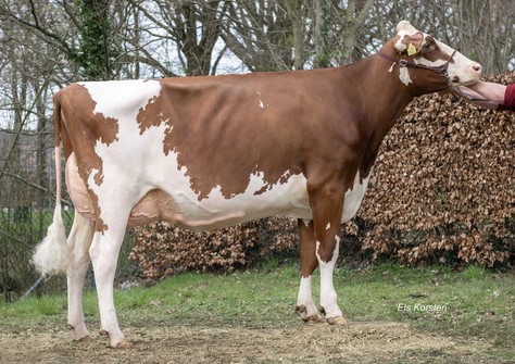 R&B AM Maryam Red VG-88