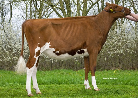 R&B Wr Melanie Red VG-87