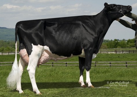 RC-LC Goldwyn ATM EX-92